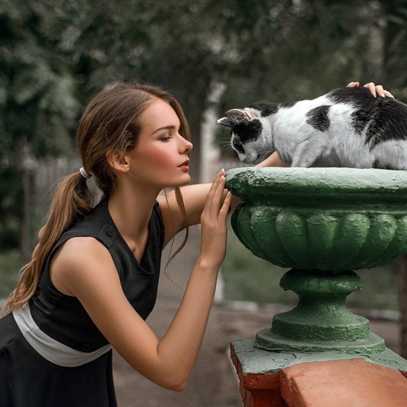 Download Black Dress Mood Depth Of Field Cat Ponytail Brunette Model Woman PFP
