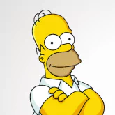 The Simpsons Homer Simpson TV Show PFP