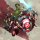 Wanda Maximoff