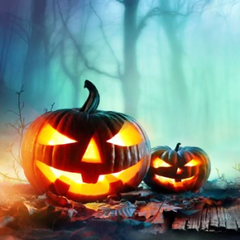 jack-o'-lantern fog pumpkin halloween candle fall holiday PFP