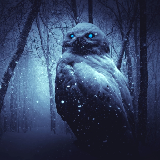 Owl in a Dark Winter Forest