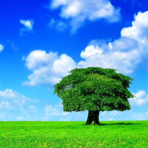 Download Landscape Nature Tree Pfp