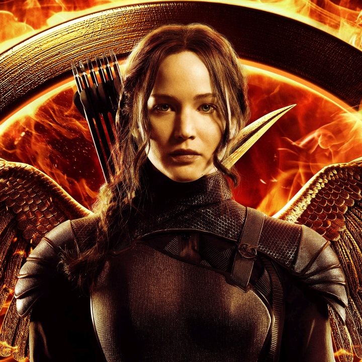 The Hunger Games: Mockingjay - Part 2 Pfp