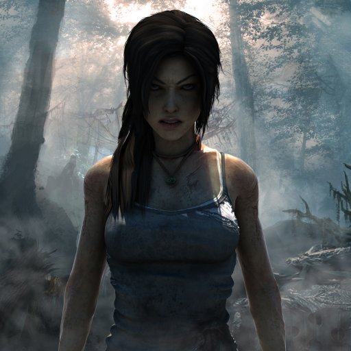 Tomb Raider (2013) PFP