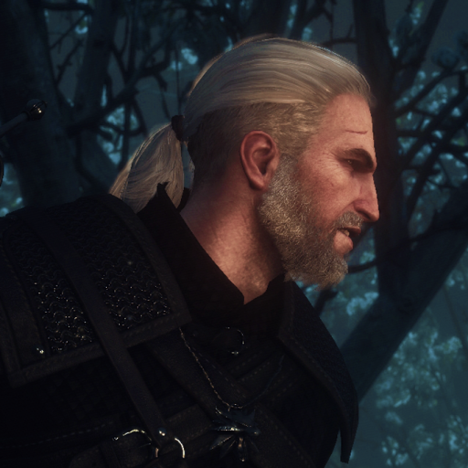 The Witcher 3: Wild Hunt Pfp by Outspokenbeef15