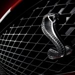 Download Vehicle Ford Mustang PFP