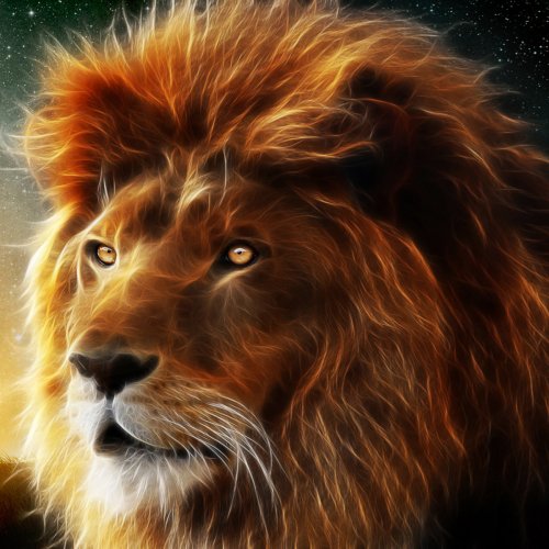 Lion Forum Avatar | Profile Photo - ID: 289399 - Avatar Abyss