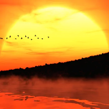  Big Yellow Sunset