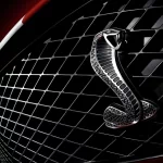 vehicle Ford Mustang PFP