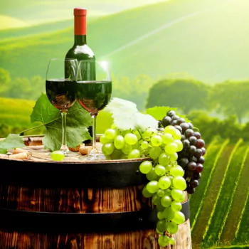 grapes food wine PFP