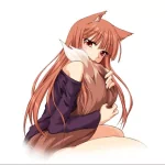 Anime Spice and Wolf PFP