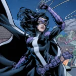 Comic Huntress (DC Comics) PFP
