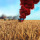 Playerunknown's Battlegrounds