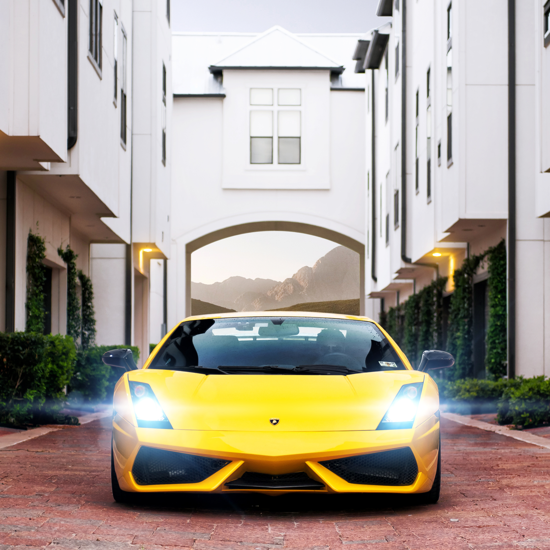 Lamborghini Gallardo Pfp