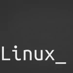 technology Linux PFP