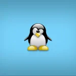 technology Linux PFP