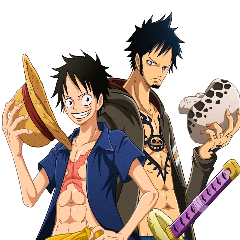 Luffy and Law