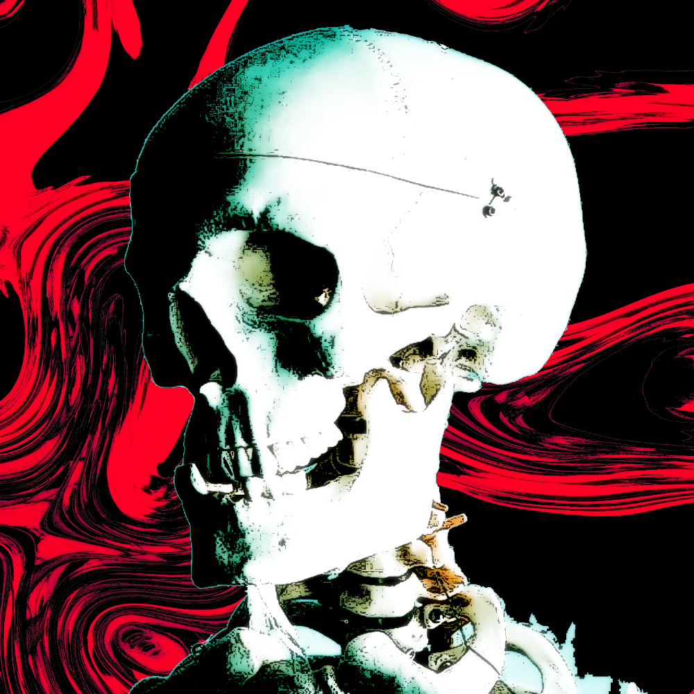Skull Pfp by JunkyardRevenant