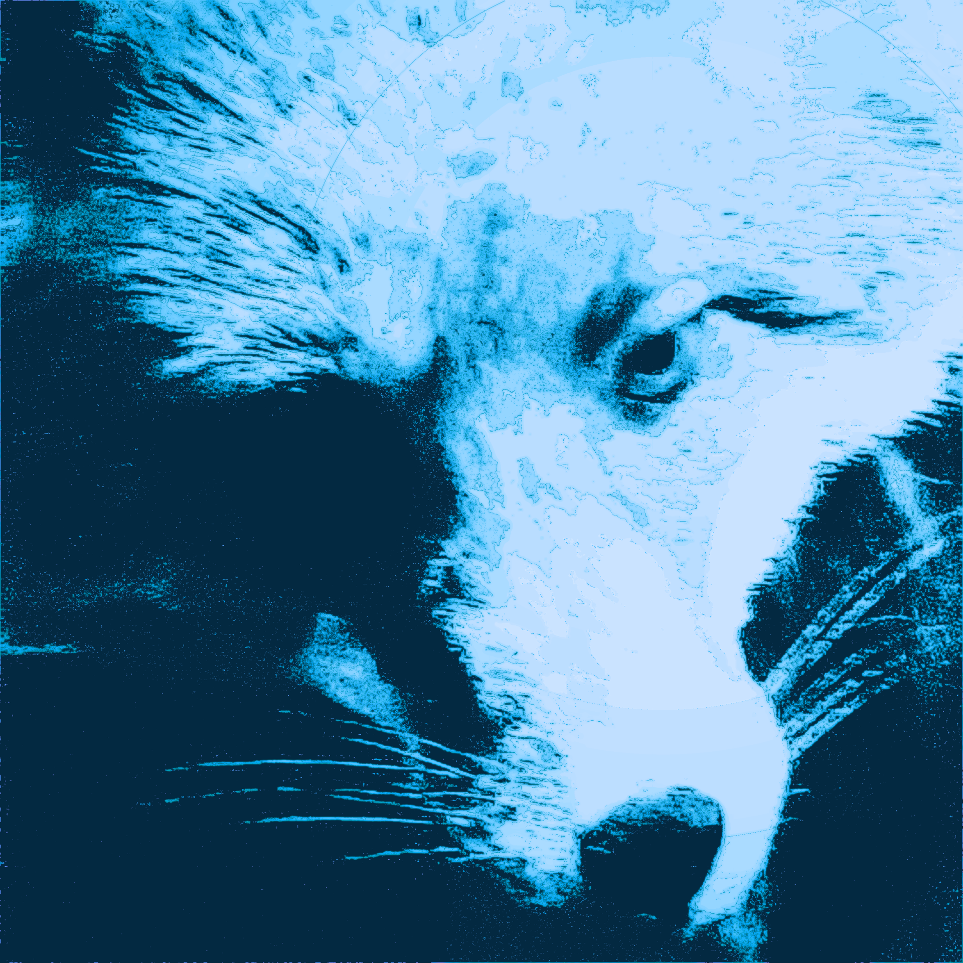 Download Animal Fox PFP by JunkyardRevenant
