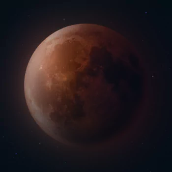 Blood Moon PFP