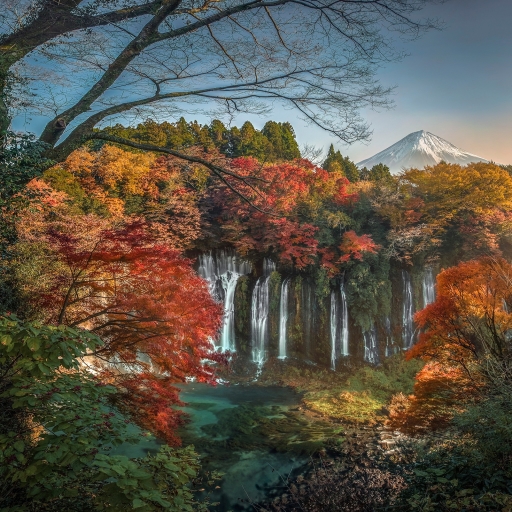 Autumn Waterfall in Japan