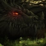 Download Fantasy Dragon PFP