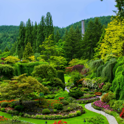 Butchart Gardens in BC, Canada