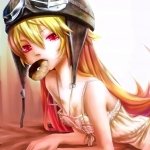 Download Anime Monogatari (Series) PFP