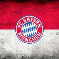 10+ FC Bayern Munich pfp