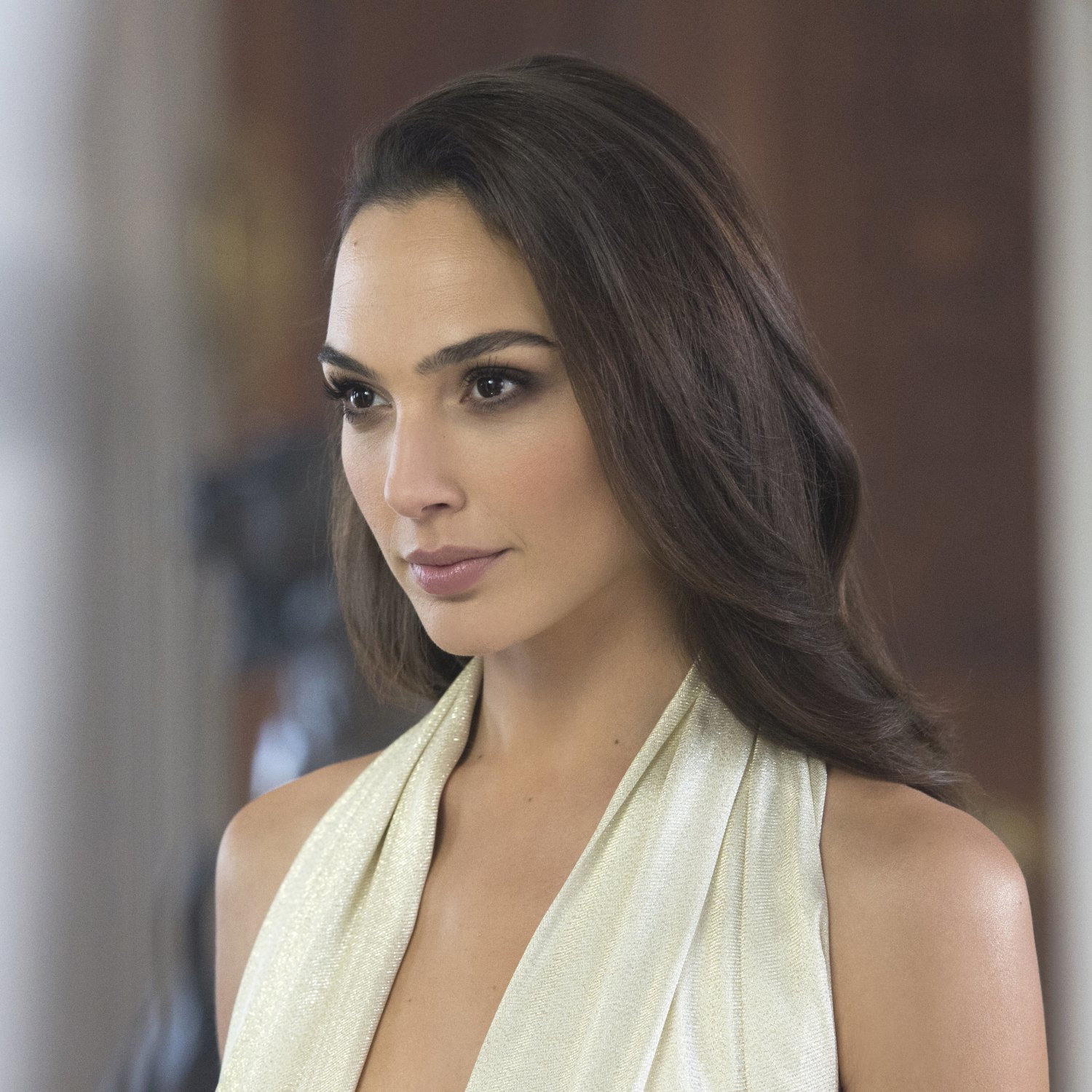 Download Israeli Brunette Model Actress Celebrity Gal Gadot PFP