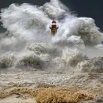 man made lighthouse PFP