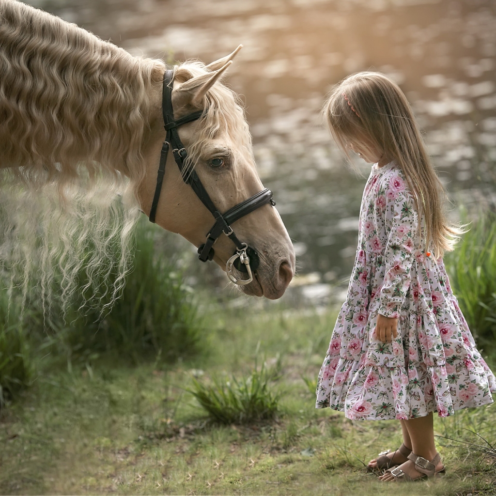 Little Girl And A Horse