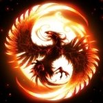 Download Fantasy Phoenix PFP