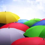 photography umbrella PFP