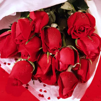  bouquet