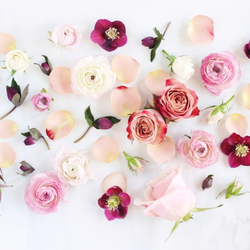 Roses, Anemones, and Peonies by Justine Celina