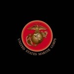 Download Military United States Army PFP