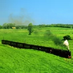 vehicle train PFP