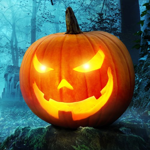 Download Jack-o'-lantern Holiday Halloween PFP