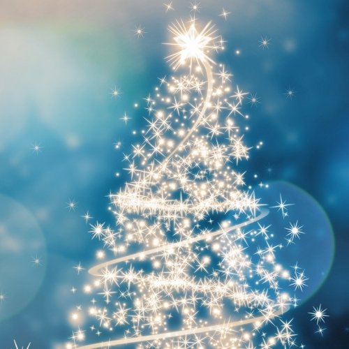 Download Christmas Tree Holiday Christmas PFP