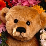 Teddy Bear with Fresh Flowers