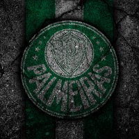 Sociedade Esportiva Palmeiras pfp