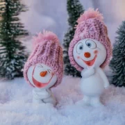 decoration Christmas photography snowman PFP
