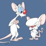 Download TV Show Pinky And The Brain PFP