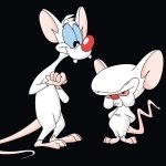 Download TV Show Pinky And The Brain PFP