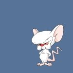 Download TV Show Pinky And The Brain PFP