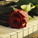 Download Music Piano PFP