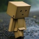 Download Misc Danbo PFP