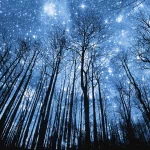 Sci Fi Stars PFP