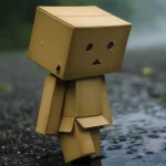 Misc danbo PFP
